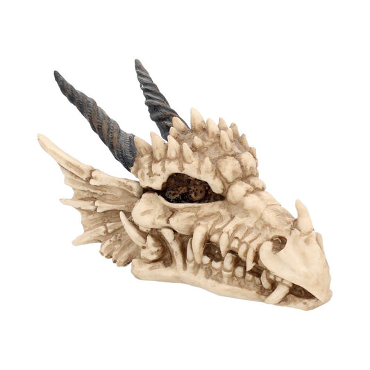 Dragon Skull Box 20cm