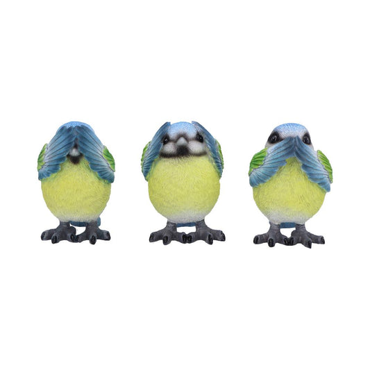 Three Wise Blue Tits