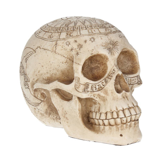 Astrological Skull 20cm