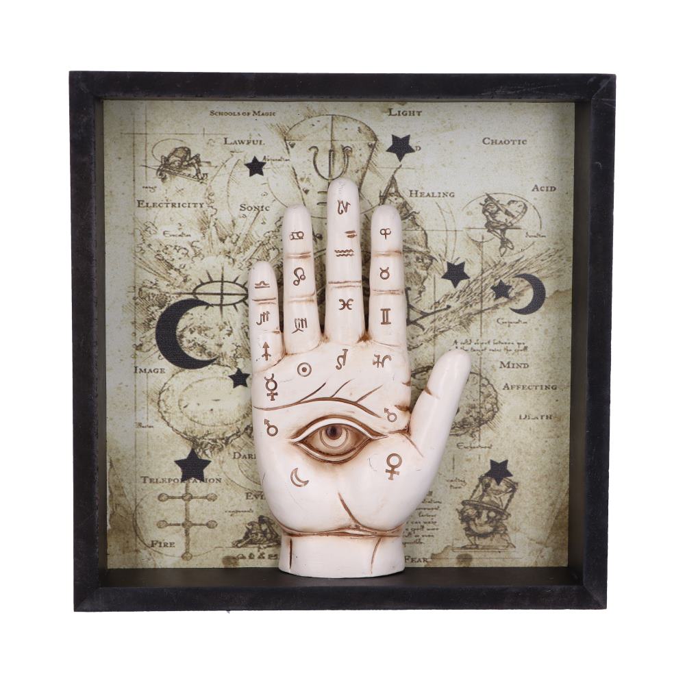 Palmistry Companion 20.2cm