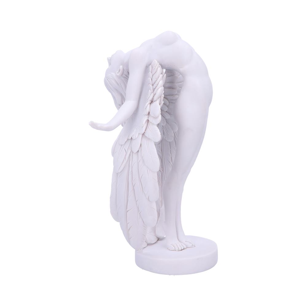 Angels Liberation 26.5cm