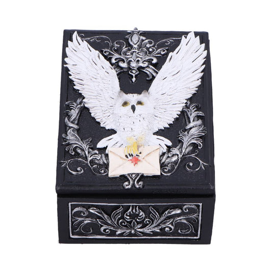 Owl Messenger Box